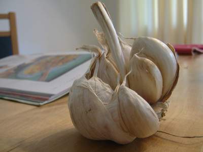 garlic for cold and flu