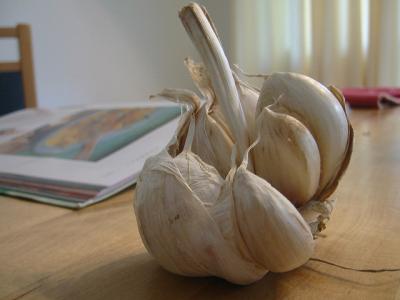garlic-allergy