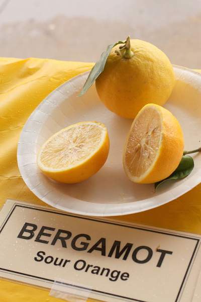 Bergamot Oil Side Effects And Skin Irritation Allergy Symptoms