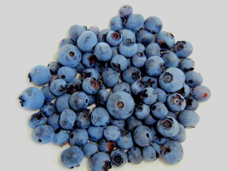 Blueberry Allergy