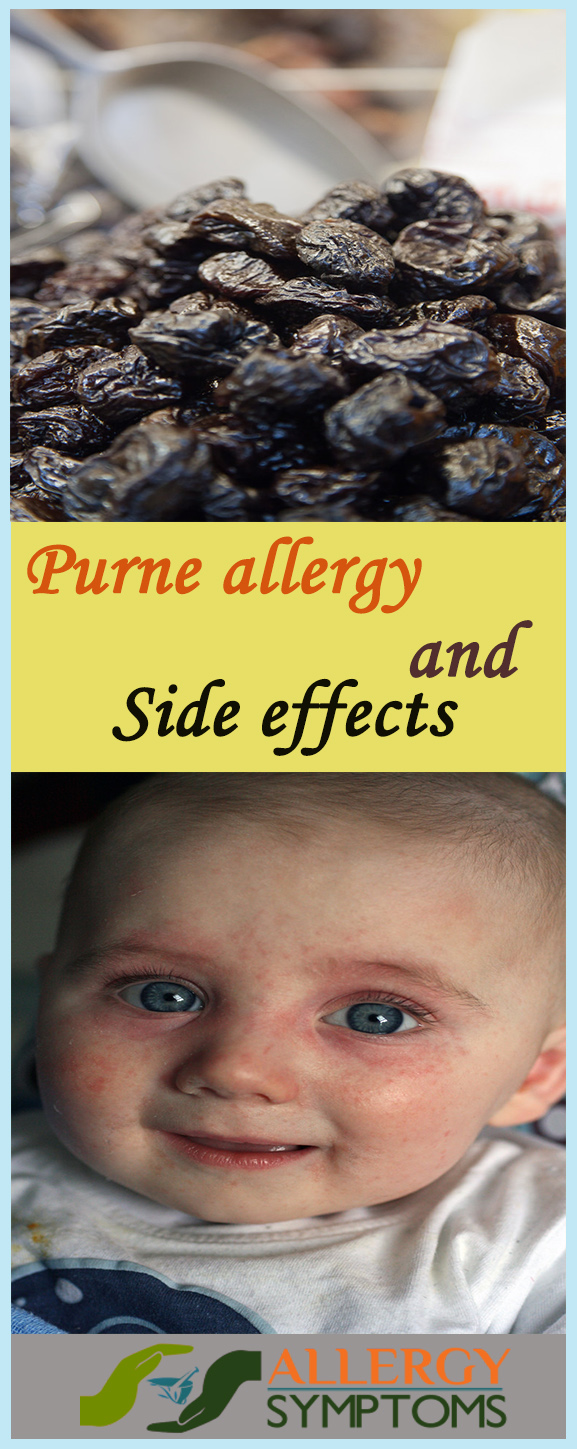 prune allergy