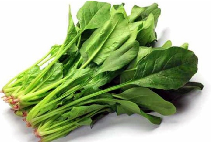 Spinach Leafy vegetable
