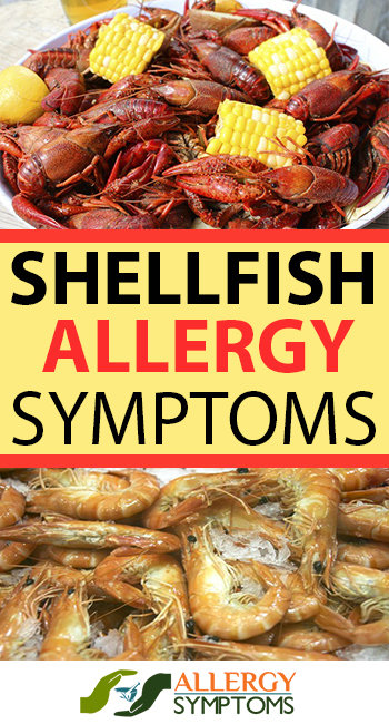Shellfish Allergy Symptoms