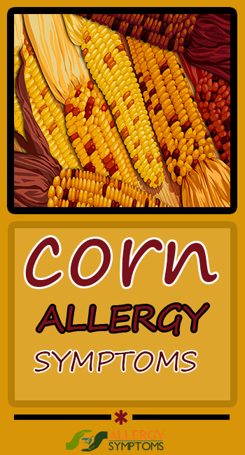 Corn Allergy Symptoms