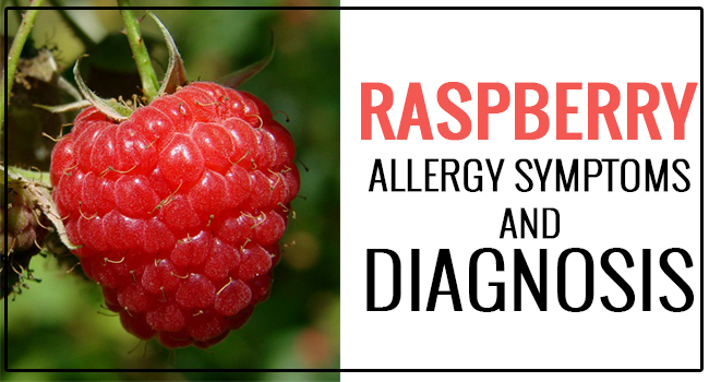 raspberry-allergy-symptoms-and-diagnosis-allergy-symptoms