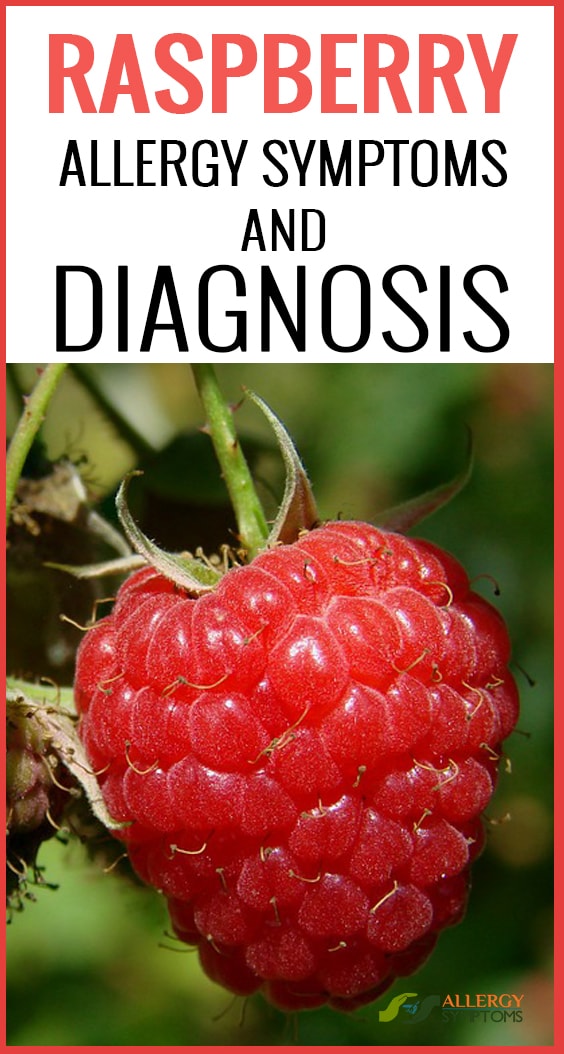Raspberry Allergy Symptoms and Diagnosis-min