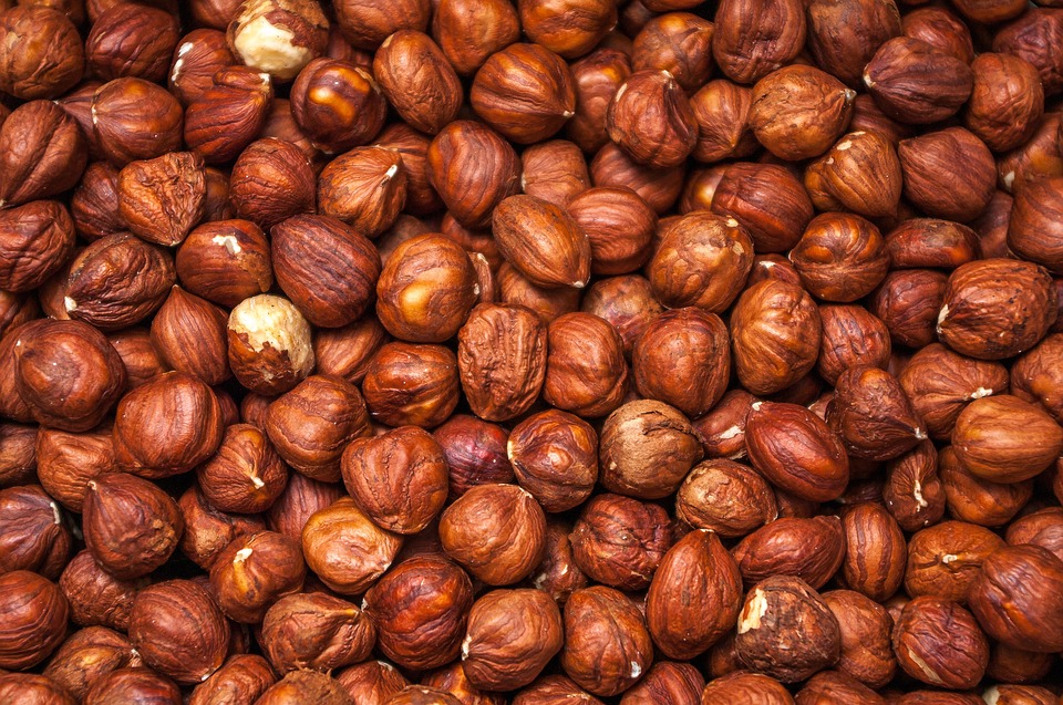 Hazelnuts Allergy Allergy Symptoms