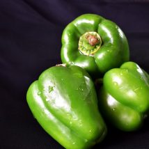 Capsicum