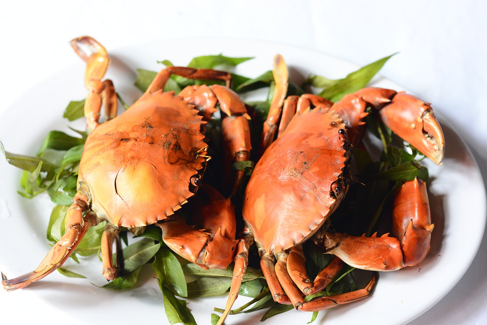 Symptoms of Crab Allergy - Allergy Symptoms