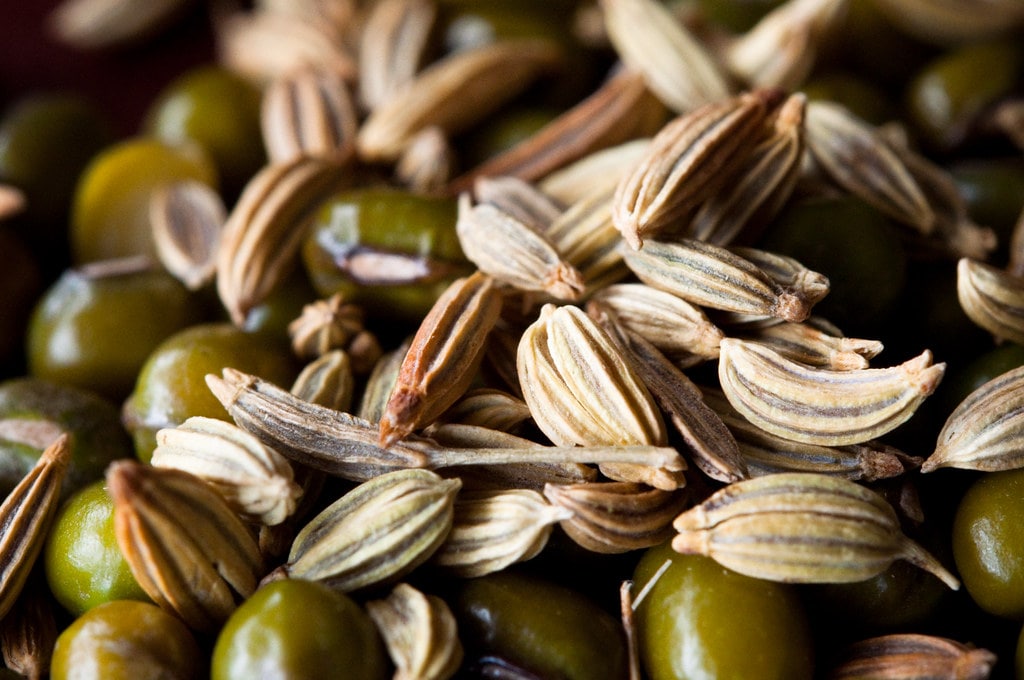 Fennel Allergy Symptoms Allergy Symptoms